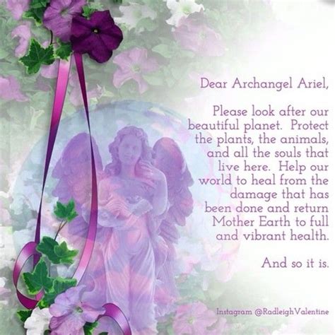 Archangel Ariel Prayer For Animals Hightopredvansonfeet