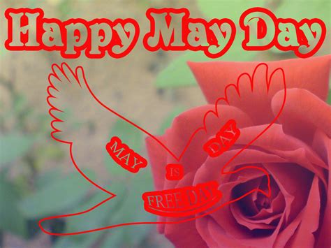 We did not find results for: The Greeting Card for You: Happy may day