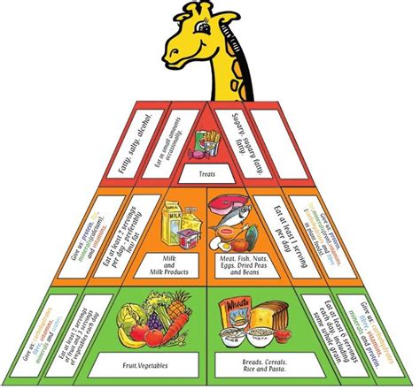 Four foods group, american fork, utah. food pyramid New Zealand | Food pyramid, Food group ...