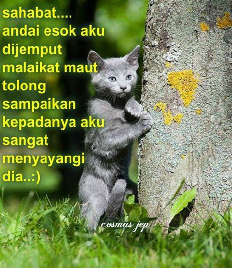 Kata kata mutiara islam memang sangat indah. Image Cantik Kata-kata Mutiara: (16 PIC) KATA MUTIARA ...