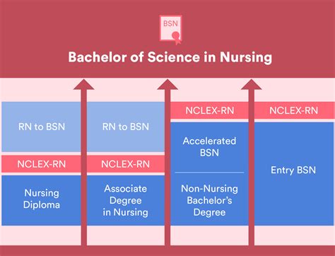 What Are The Different Levels Of Nursing Resources Top Rn To Bsn