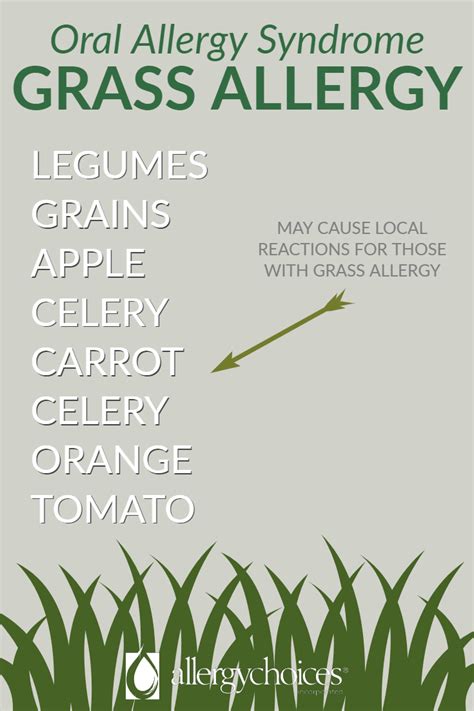 Grass Allergies Oral Allergy Syndrome Grass Allergy Allergies