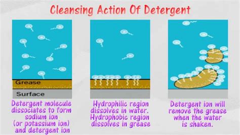 Since soap and detergent action is hindered by hard water, laundry formulations usually include water softeners—called builders—designed to remove hard water ions. 5.1 Cleansing action of detergent - YouTube