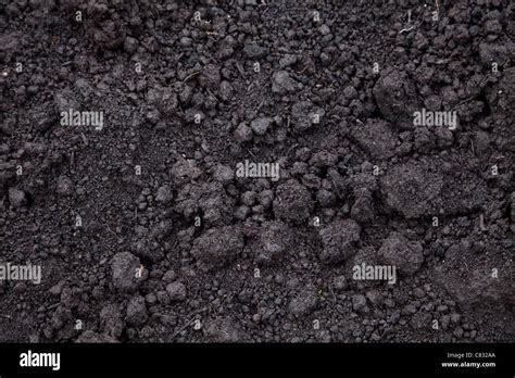 Dark Soil Texture