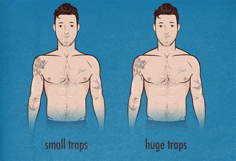 How To Build Broader Shoulders Trap Trapezius Size Bony To