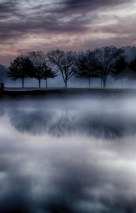 Trees On Foggy Lake Photograph By Joe Myeress