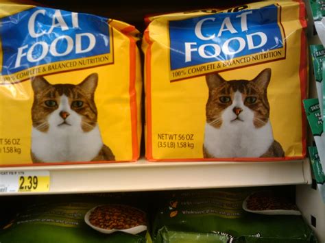 Cheap cat food and best cat food available at you local aldi store. We need to talk about the brand of food you've been buying ...