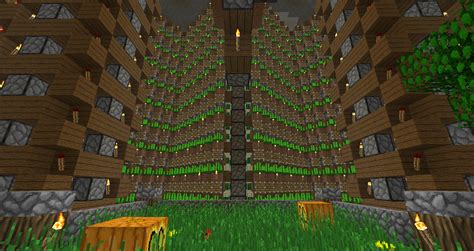 My Underground Farming Area Which Includes 2 Halves Of The Sugar Cane