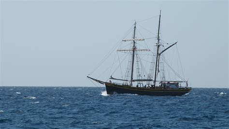 Free Images Sailing Ship Tall Ship Brigantine Sea Brig