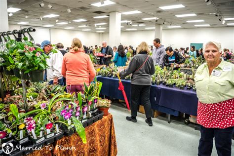 Last time i attended this show was in 2006, and i remember the big crowd in a buying frenzy and all the fascinating show. 2017 San Diego Cactus and Succulent Society Winter Show ...