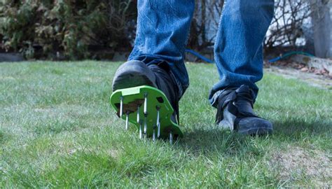 How To Aerate Your Lawn The Ultimate Lawn Aeration Guide The Lawn