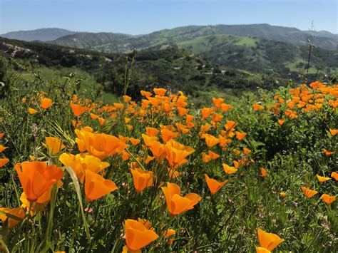 Clark regional park regional trails ronald w. Santiago Oaks Guided Nature Hike - Irvine Ranch Natural ...