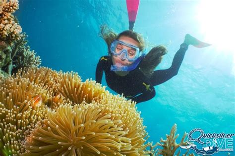 Quicksilver Scuba Diving Day Cruise Great Barrier Reef Port Douglas Australia