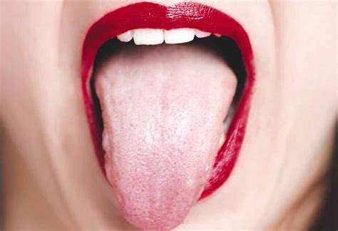 Taste Buds On Tongue Dental Mnemonics Location Of Taste Buds As