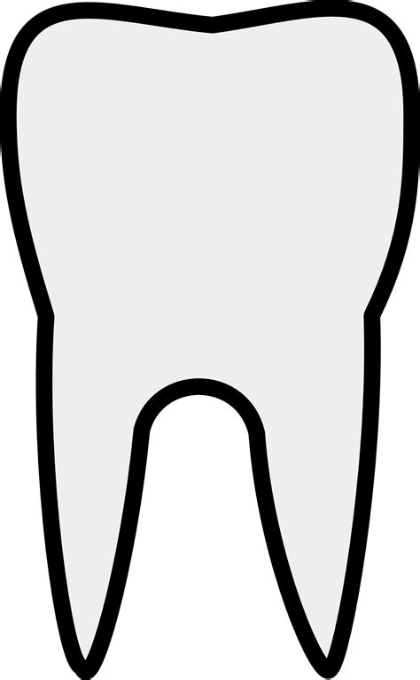 Clipartistinfo Tooth Line Art Rg 1 24 Tooth Black White Line Art