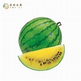 小玉西瓜 – 有利水果行 | 屏東在地省產及進口水果大型通路供應商