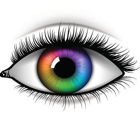 Royalty Free Iris Of Human Eye Clip Art Vector Images And Illustrations