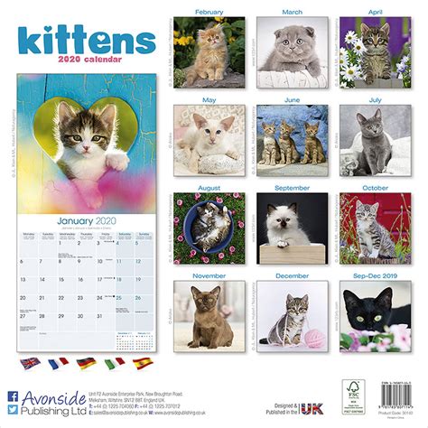 Who buys a calender with only two months left! Kittens Calendar 2020 | Pet Prints Inc.