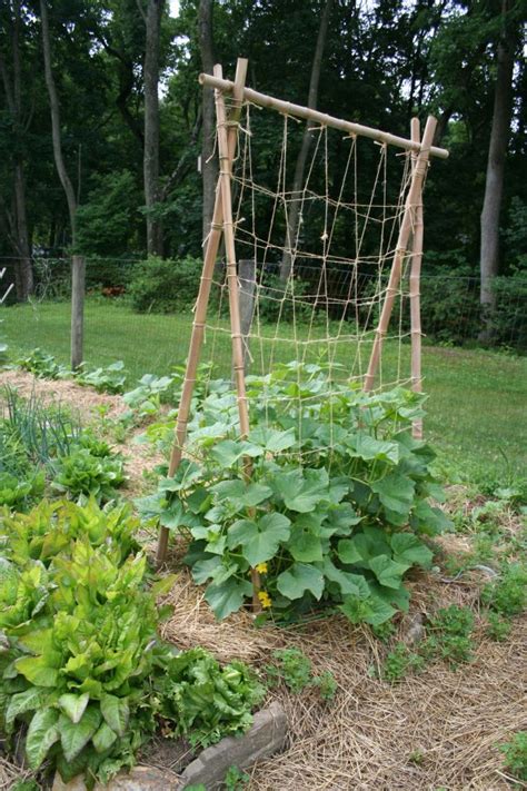 Small space japanese garden bamboo fence. 17 Best images about Allotment Inspiration on Pinterest ...