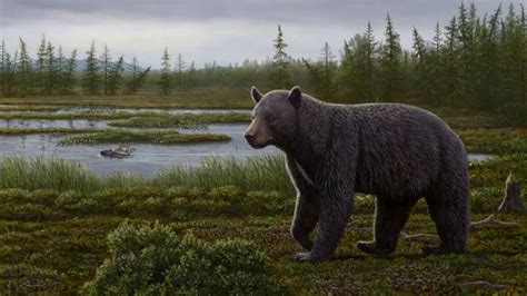Does The Ursus Abstrusus Have A Not Scientific Name I Love This Bear