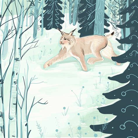 Colorado In Winter Illustrations On Behance