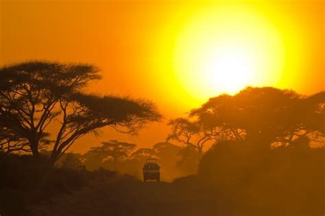 World Travel African Safari Visit