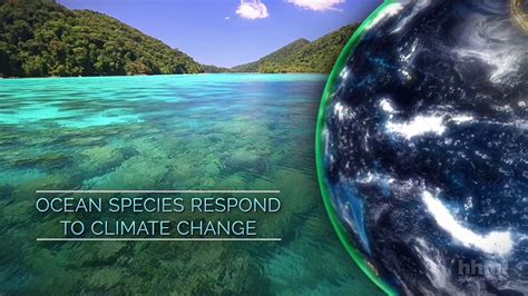 Ocean Species Respond To Climate Change Stephen Palumbi Lecture Hhmi