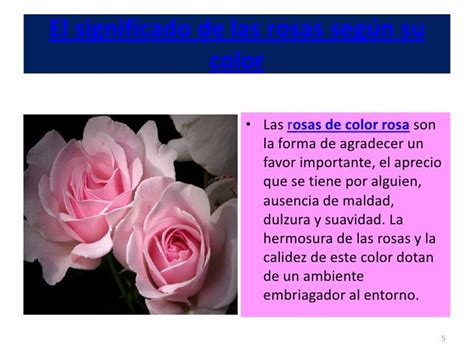 El Significado De Las Rosas Según Su Color