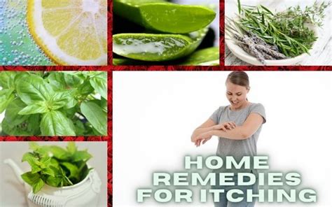 8 Effective Home Remedies For Itching Your Health Orbit