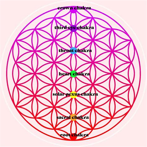 the flower of life an introduction to sacred geometry the daily dish