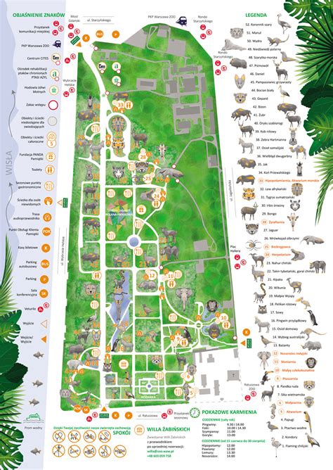 Najlepszej jakości produkty dla zwierząt! Map of the Zoo - Visit the Zoo - Zoo Warszawa