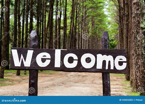Welcome Sign In Pine Tree Forest Stock Image Image Of Forest Tree