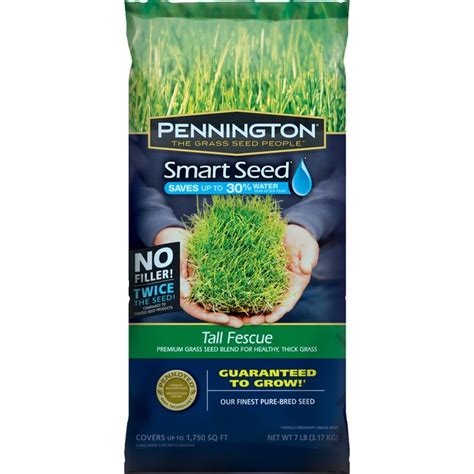 Pennington Smart Seed 7 Lb Tall Fescue Grass Seed At