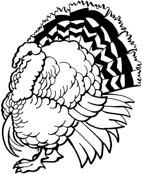 A Turkey Coloring Page