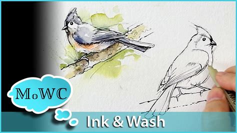 How To Paint Birds In Ink And Watercolor Wash Technique Watercolor