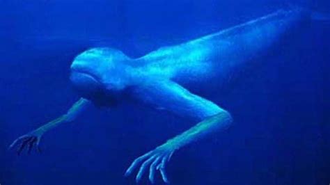 5 Extremely Creepy Deep Sea Creatures Youtube