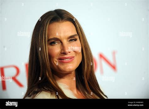 New York Ny October 28 Brooke Shields Attends The Elton John Aids