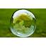 Big Bubble Wallpapers And Images  Pictures Photos