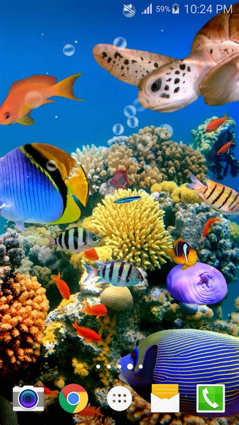 Ocean Fish Live Wallpaper Free Apk для Android — Скачать