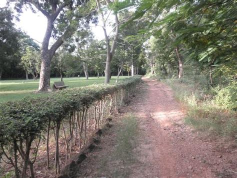 Parc Urbain Bängr Weoogo Ouagadougou Burkina Faso Omdömen