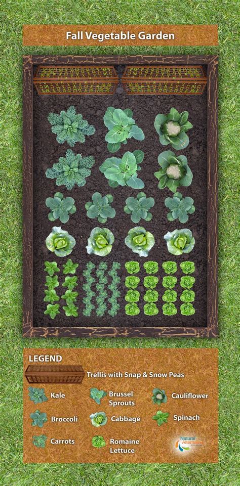 19 Vegetable Garden Plans And Layout Ideas That Will Inspire You