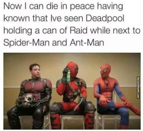 Deadpool Holding A Can Of Raid Next To Spider Man And Ant Man Pictures