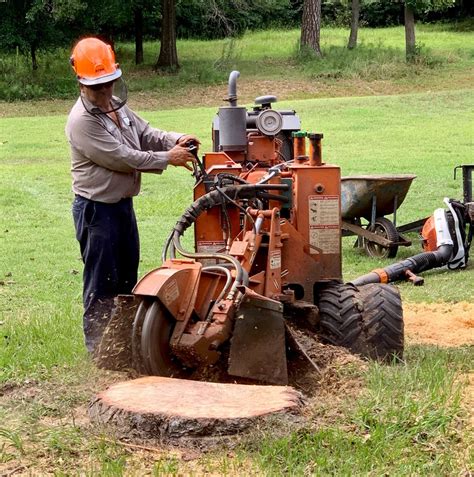 Local Stump Grinding And Removal Services Houston Tx