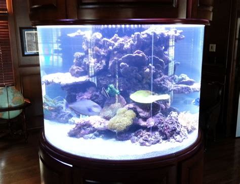 300 Gallons Fish Tanks And Aquariums