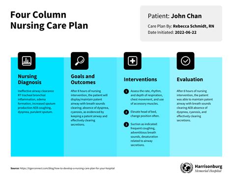 Nursing Care Plan Nursing Care Plan Examples Nursing Care Nursing