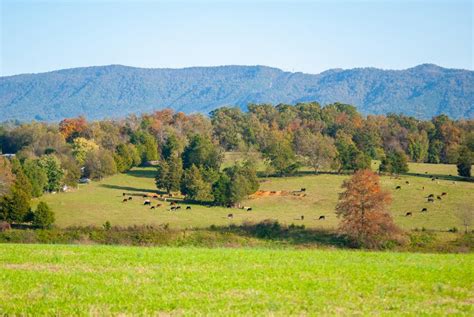 Maryville Tn Farms And Ranches For Sale