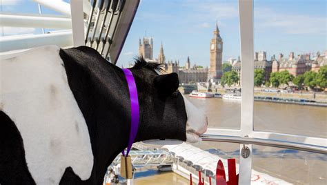 You can play it in www.apadrinaunava.es. Cadbury Dairy Milk Buttons 'Adopt A Cow' campaign, London ...