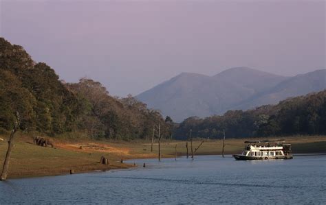 Periyar National Park In Kerala Essential Travel Guide
