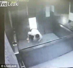 Horrifying Moment Man Is Crushed By An Elevator In Taiwan Daily Mail