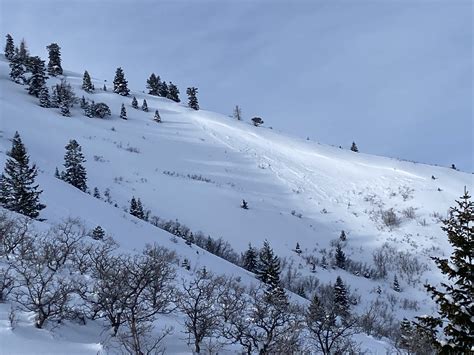 Wasatch Mountains Ut Backcountry Report A Blower Powder Lap On Mt